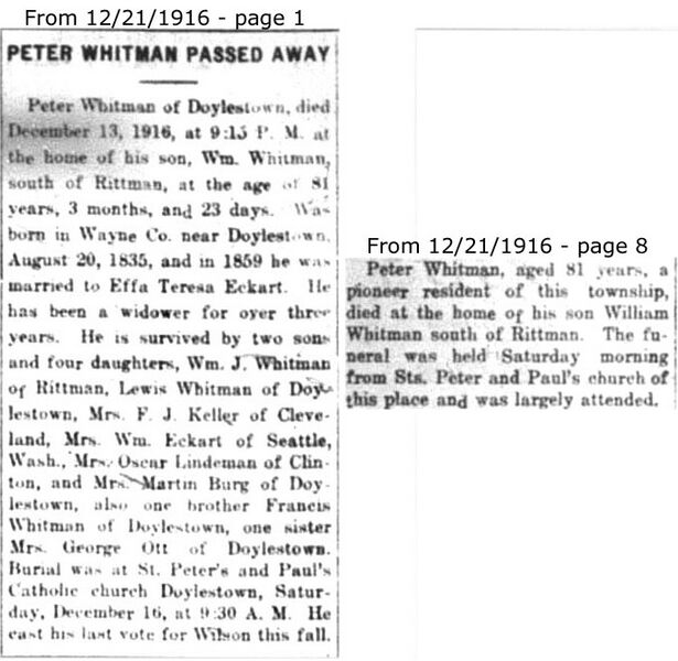 File:Whitman, Peter (D-3804).jpg