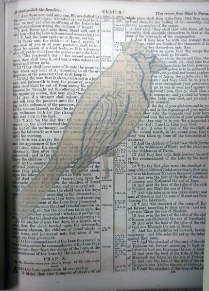 File:WinklerLarueBible-TracePaperCardinal.jpg