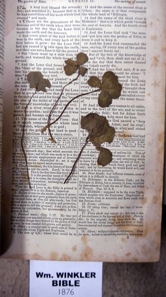 File:WinklerWmBible-PressedClovers.jpg
