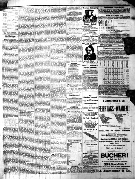 File:Wooster Journal-1883-01-12-p03.jpg