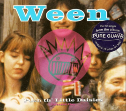 Ween-push-daisies single.png