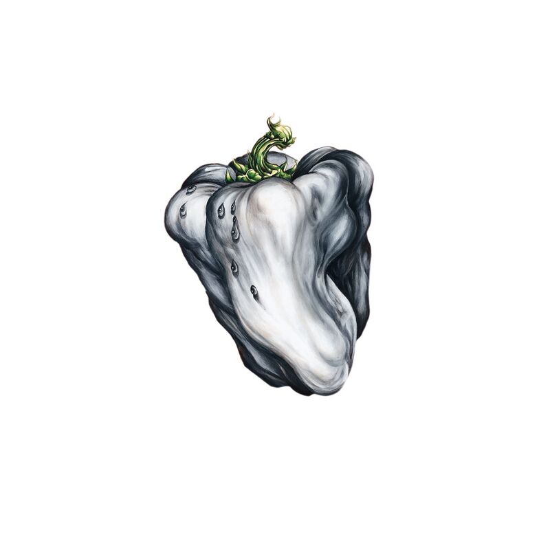 Ween – White Pepper CD ウィーン White Pepper - Ween